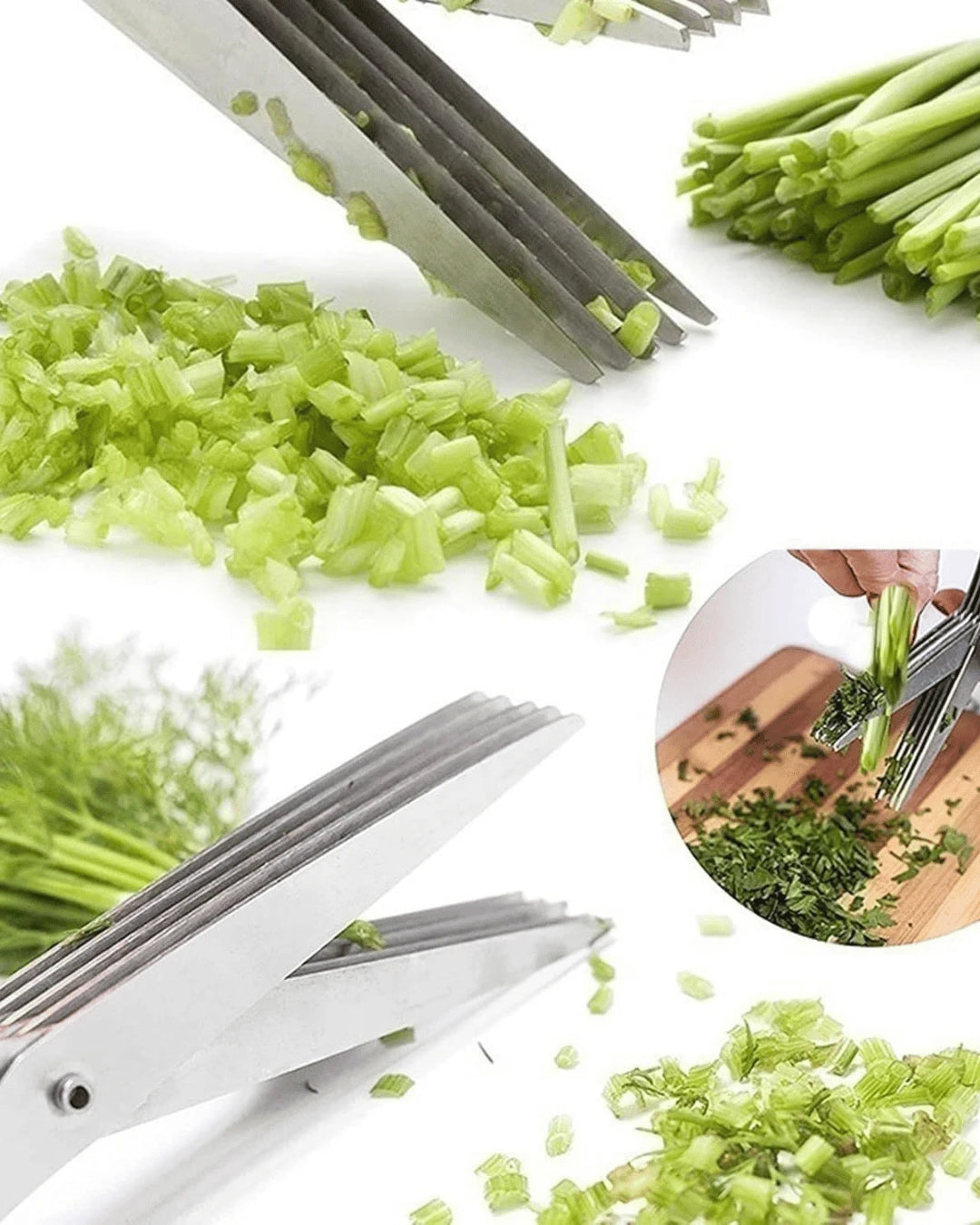 5 layer Stainless Steel Scissors